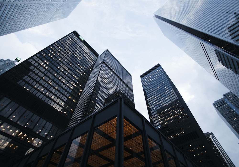 Vortex Real Estate — 4